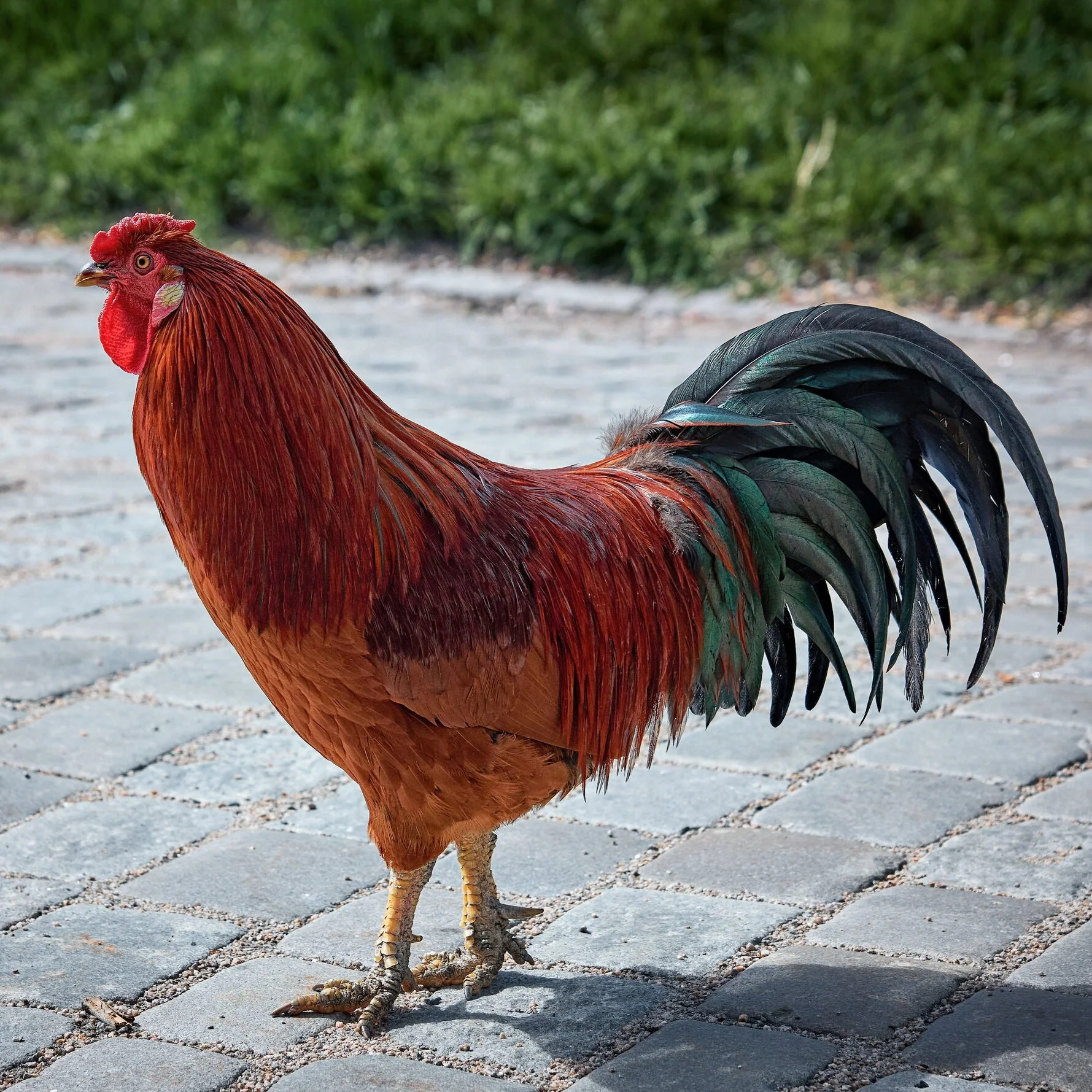 Episode 22 - Predestination