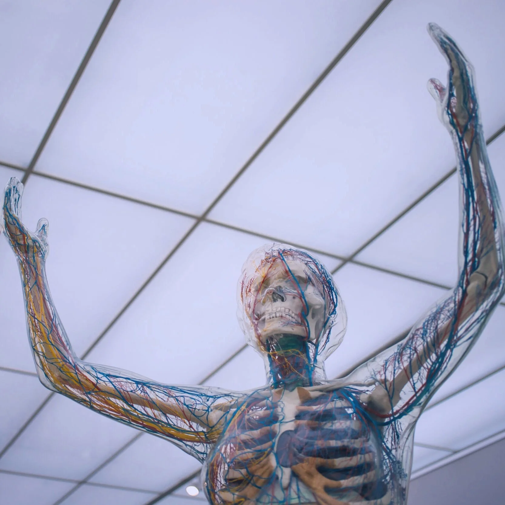 Episode 31 - Innerspace