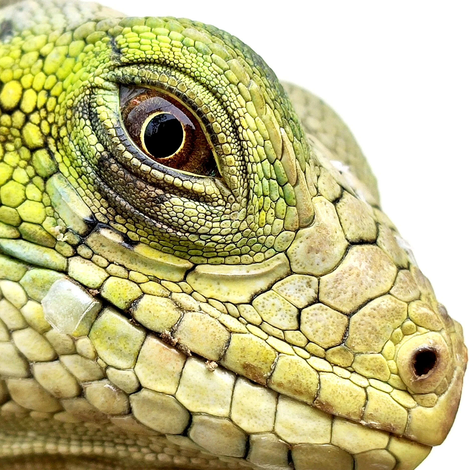 Episode 38 - Eureka: What About Bob?