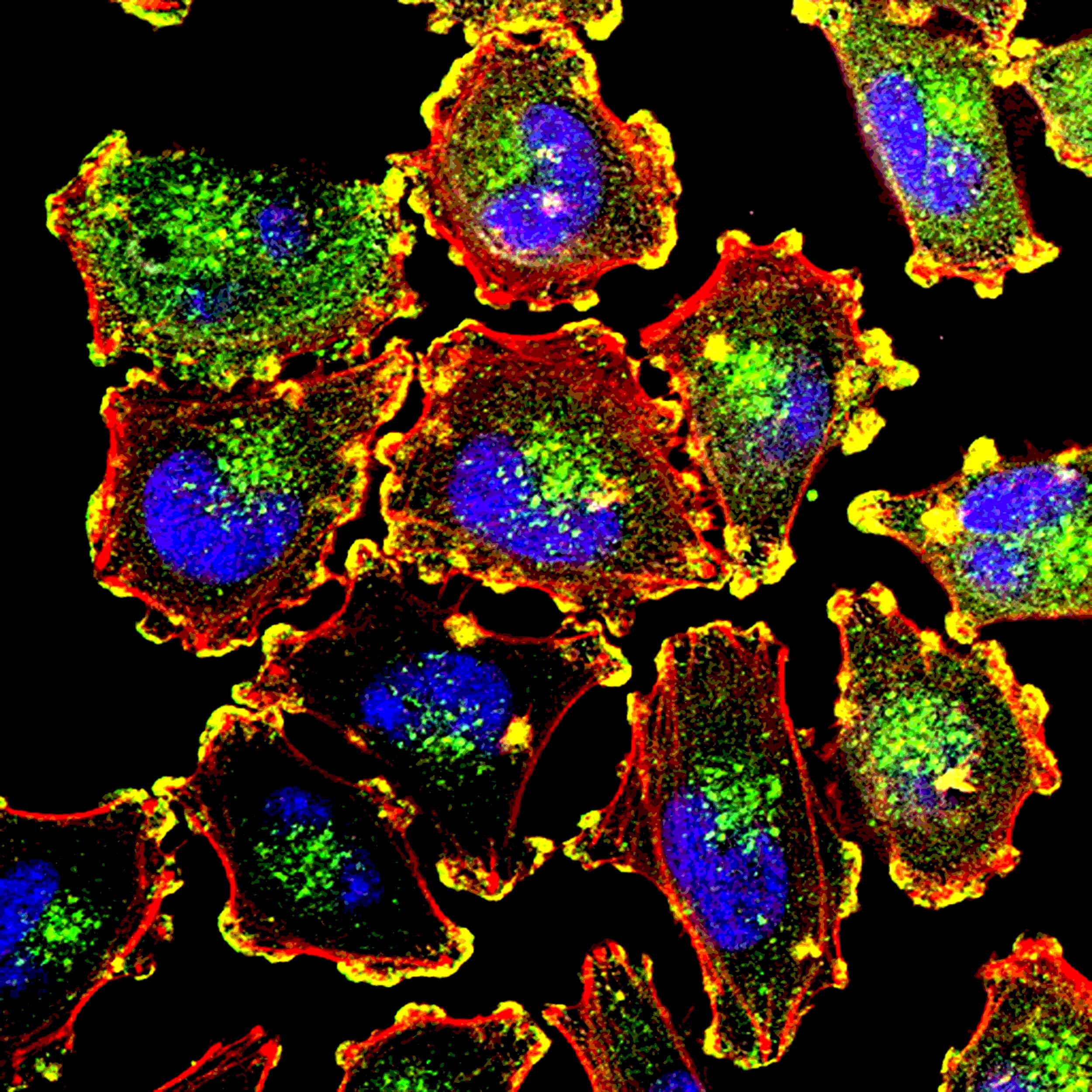 Episode 46 - Prometheus