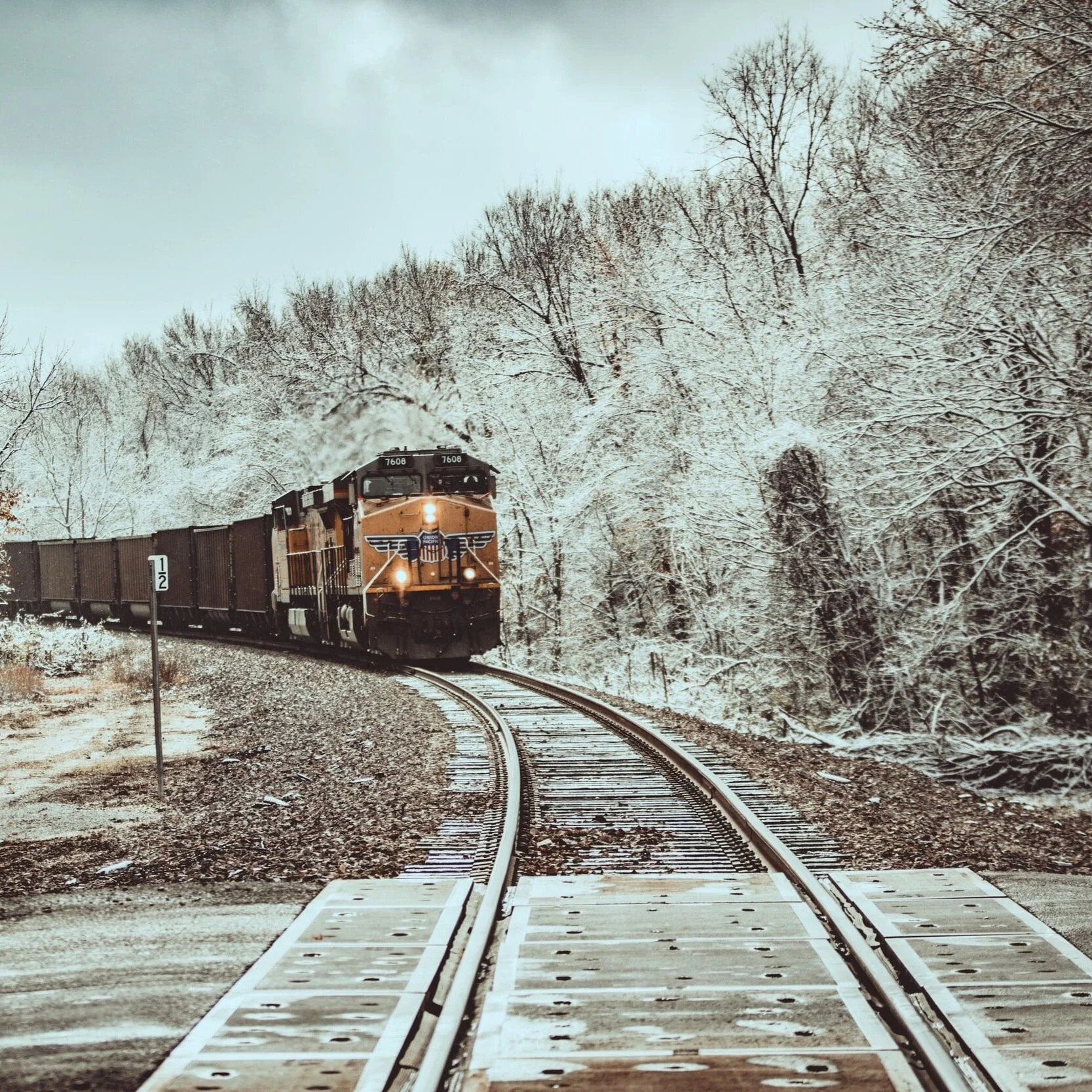 Episode 51 - Snowpiercer