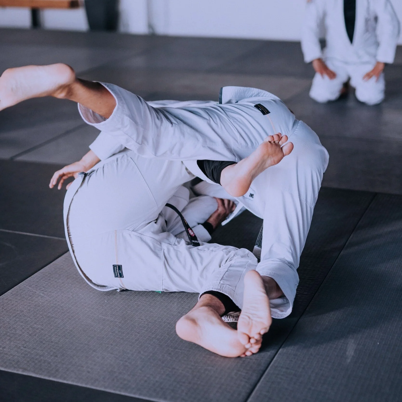 Episode 66 - Jiu Jitsu