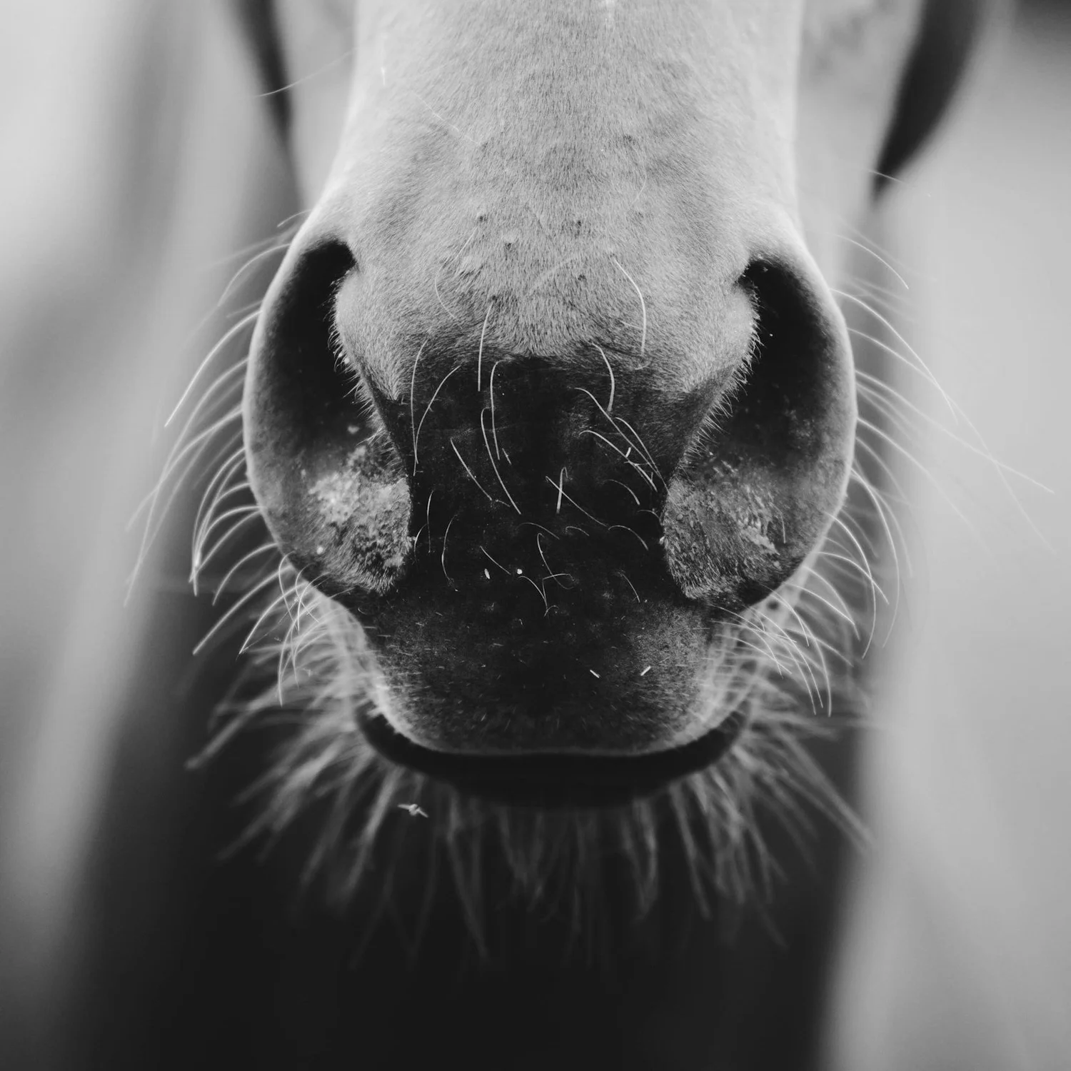 Episode 240 - Sorry to Bother You (Part 1) Episode 240 - Sorry to Bother You (Part 1)