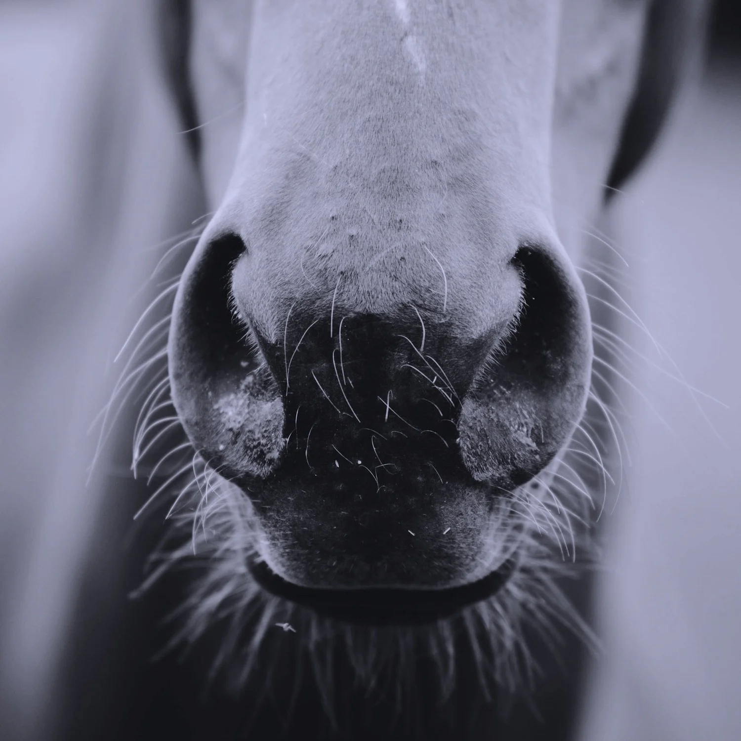 Episode 241 - Sorry to Bother You (Part 2) Episode 241 - Sorry to Bother You (Part 2)