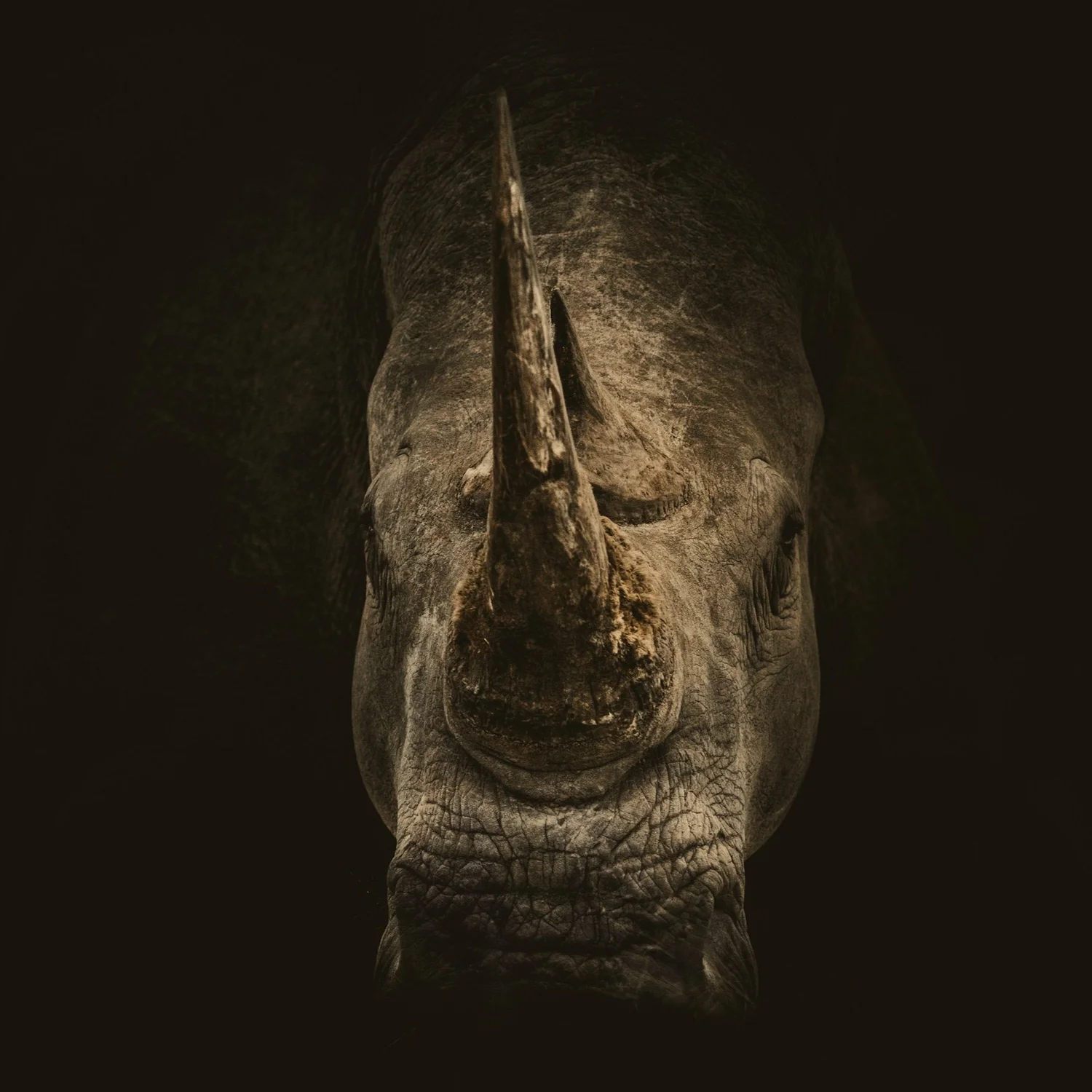 Episode 242 - Wizards vs. Aliens: The Thirteenth Floor Episode 242 - Wizards vs. Aliens: The Thirteenth Floor