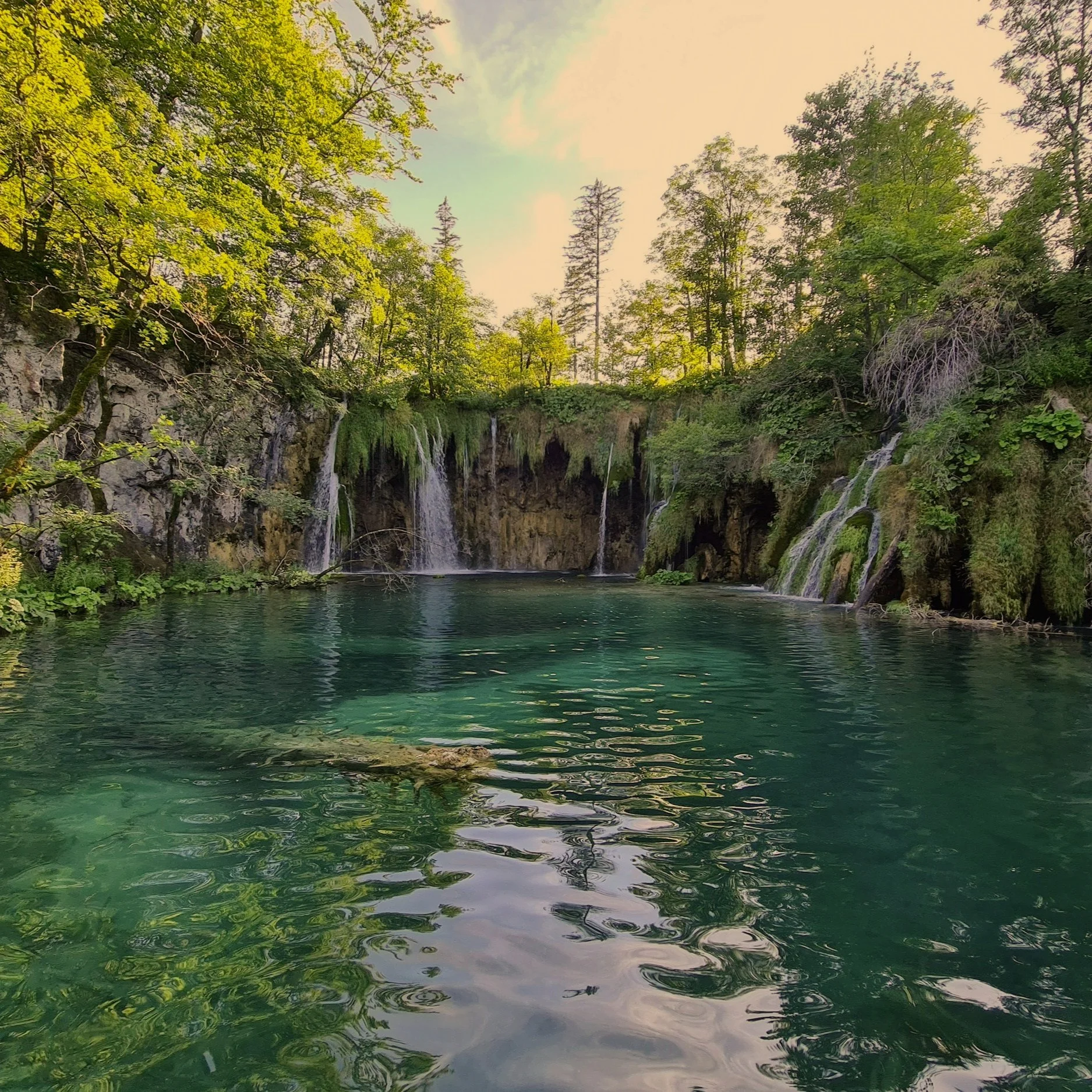 Episode 245 - Creature from the Black Lagoon