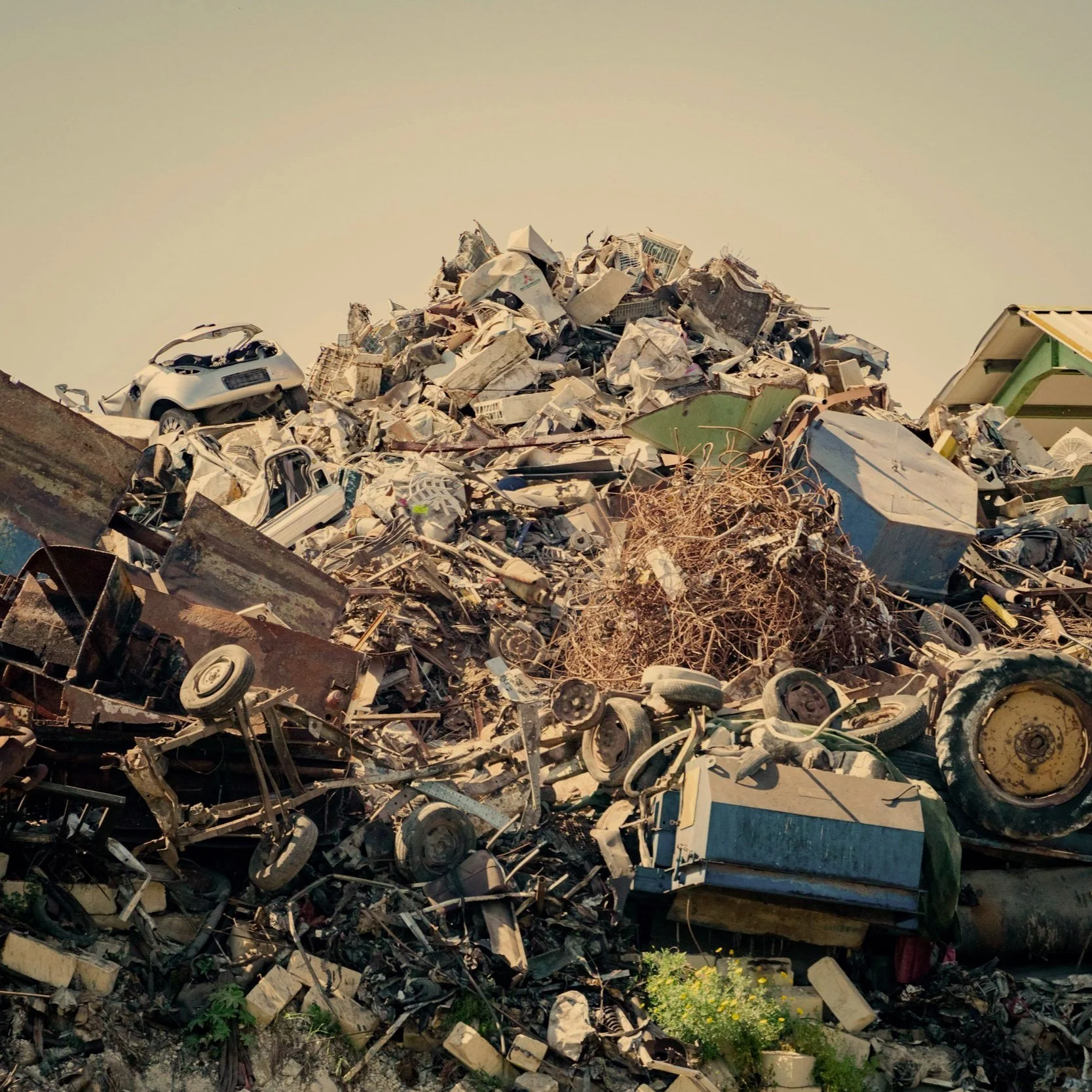 Episode 260 - Wall-E