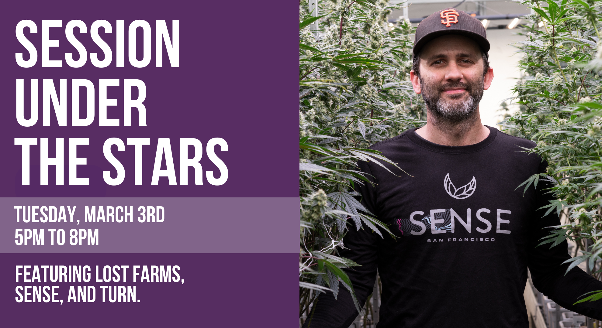 Copy of Your paragraph text (21).png