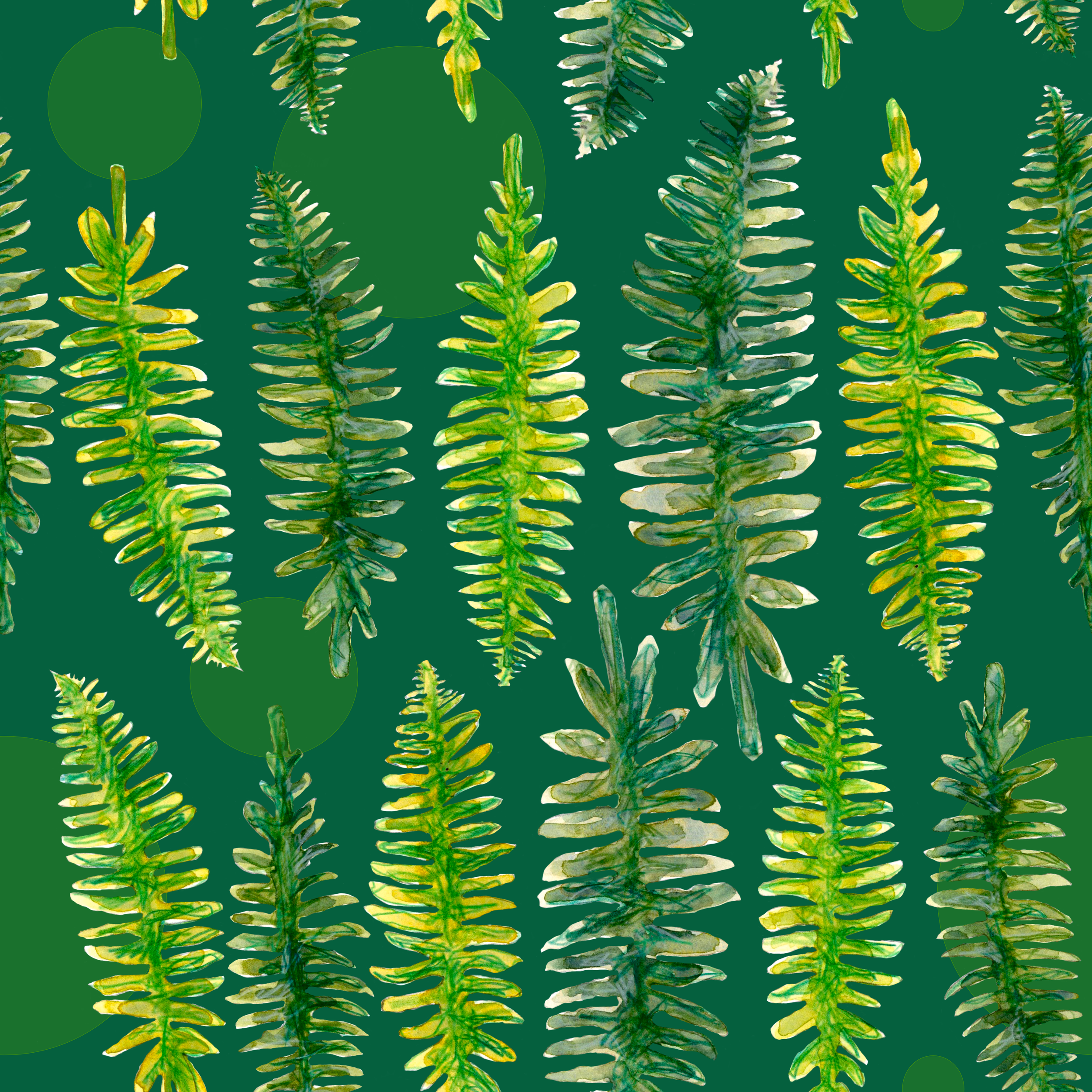 9915424_rfern2.png