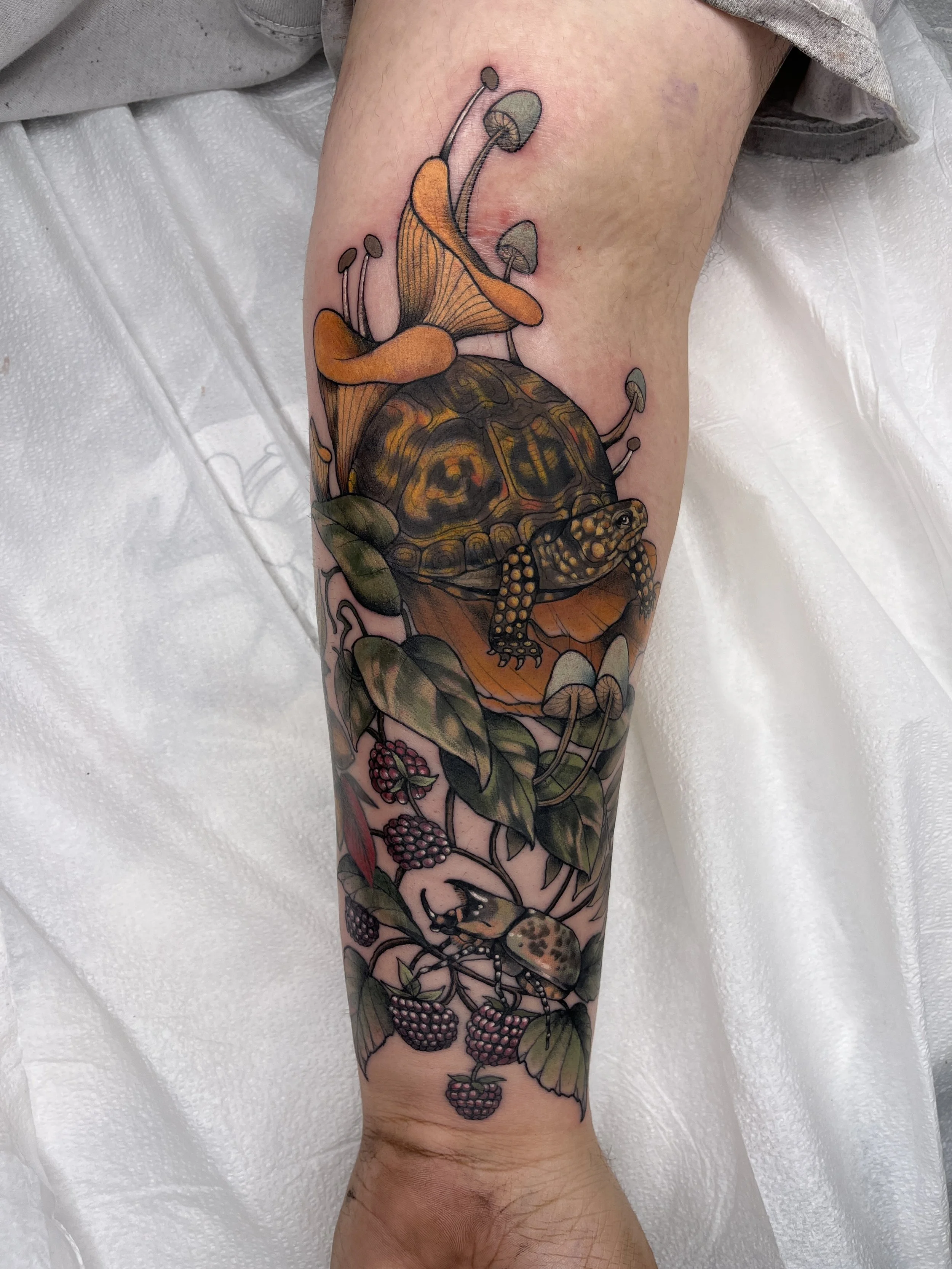 turtle tattoo, maryland tattoo 