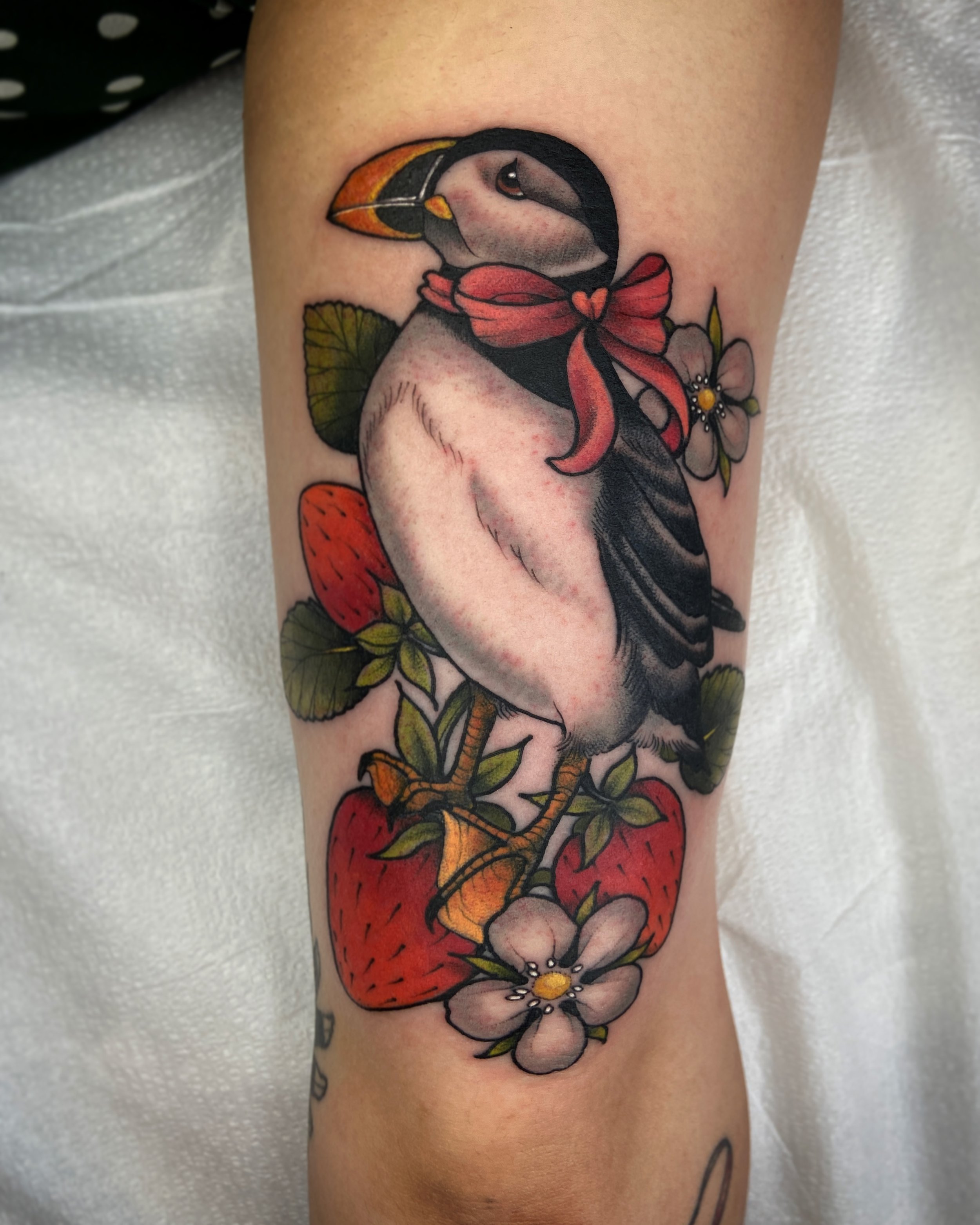 puffin tattoo 