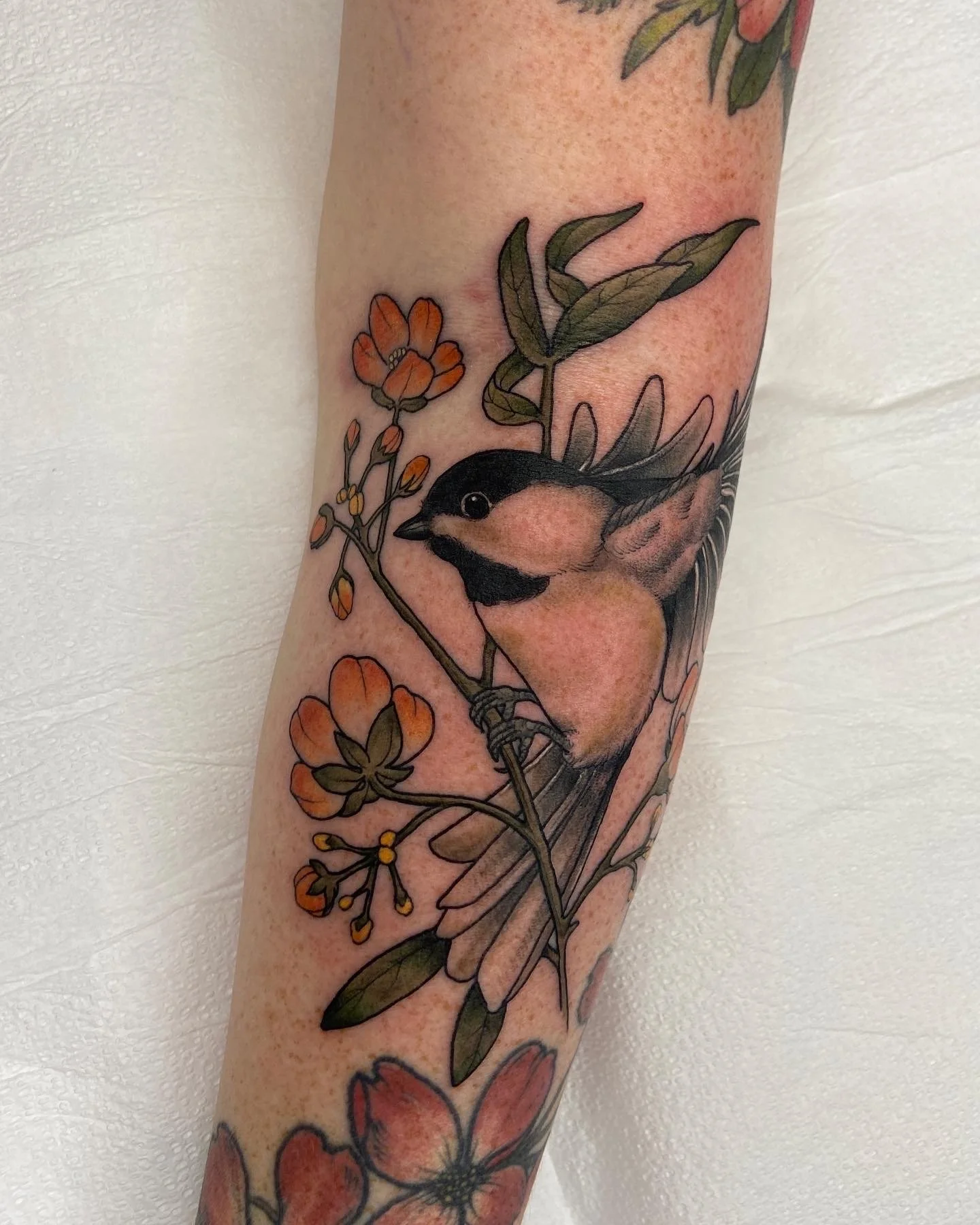 bird tattoo 