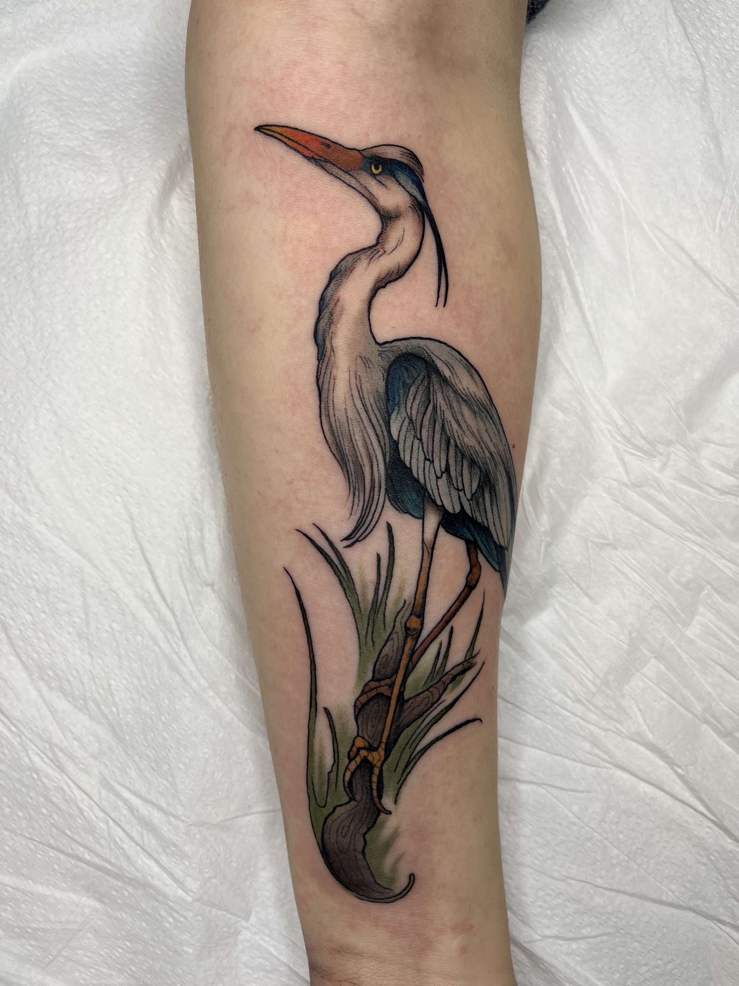 heron tattoo, maryland tattoo 