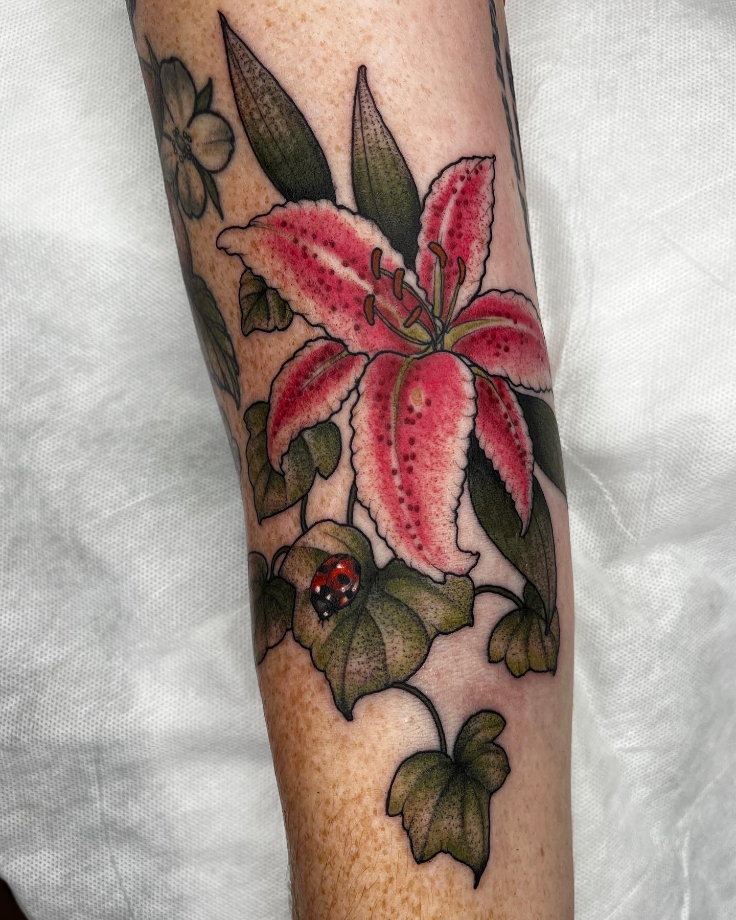 F1406E3E-0508-4B66-AF54-EC5F272226E0 2.JPG