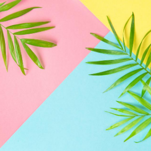 FUN WAYS TO WRAP-UP SUMMER 2020