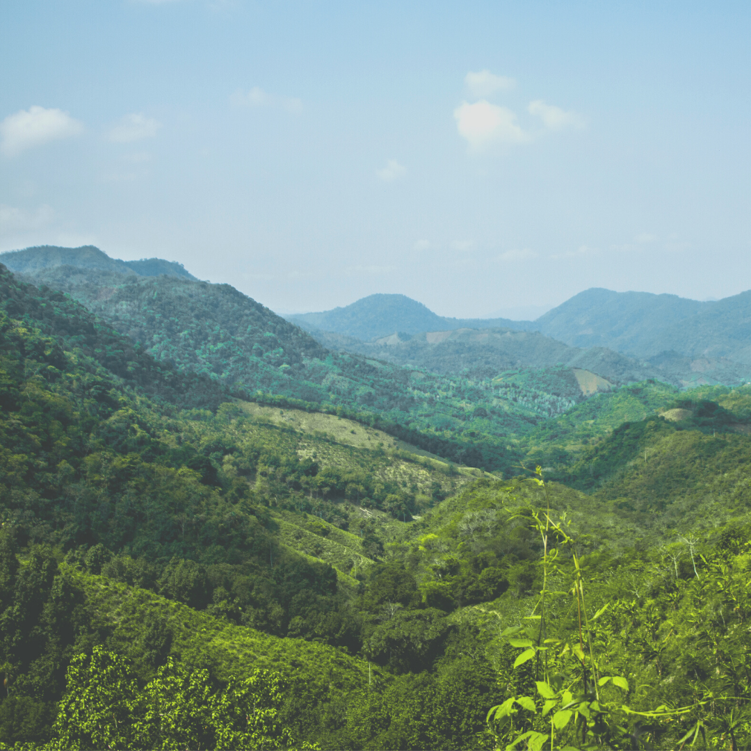 How to Live More Sustainably FOR FREE