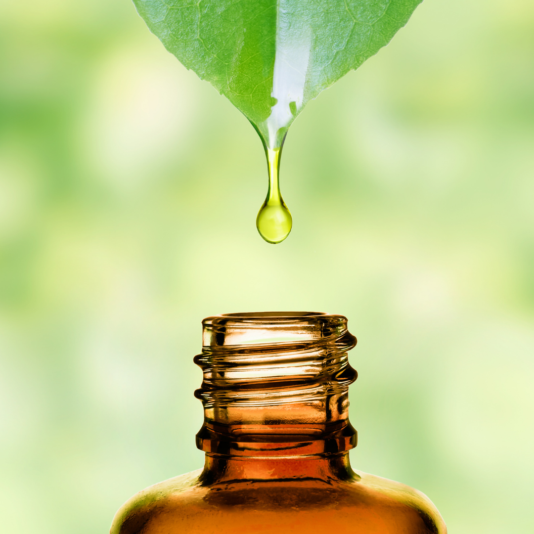 Using Doterra Essential Oils