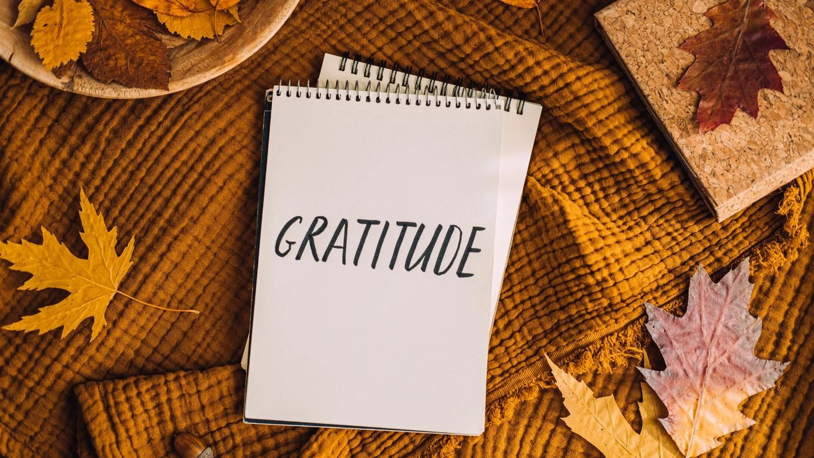 Embracing Gratitude: Transform Your Life