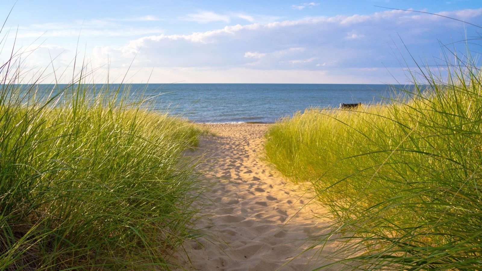 Summer Wellness Without Missing Out