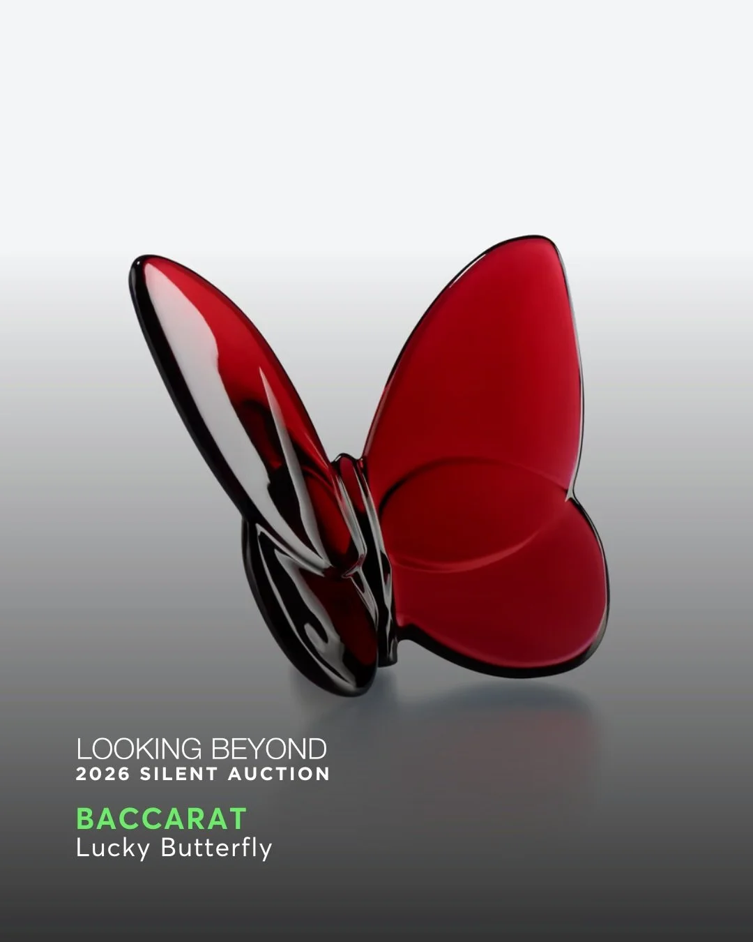 Introducing our second drop of silent auction sneak peeks! We hope you can join us on March 17. Link for final tickets in bio. See you there!!