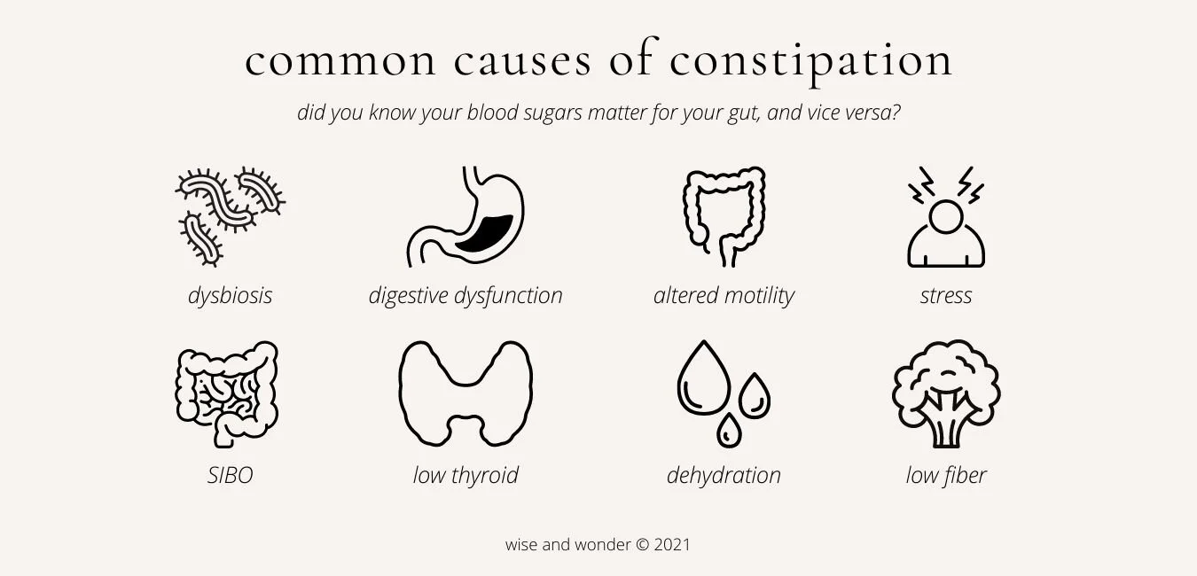 Ultimate Constipation Guide Wise & Wonder — wise and wonder