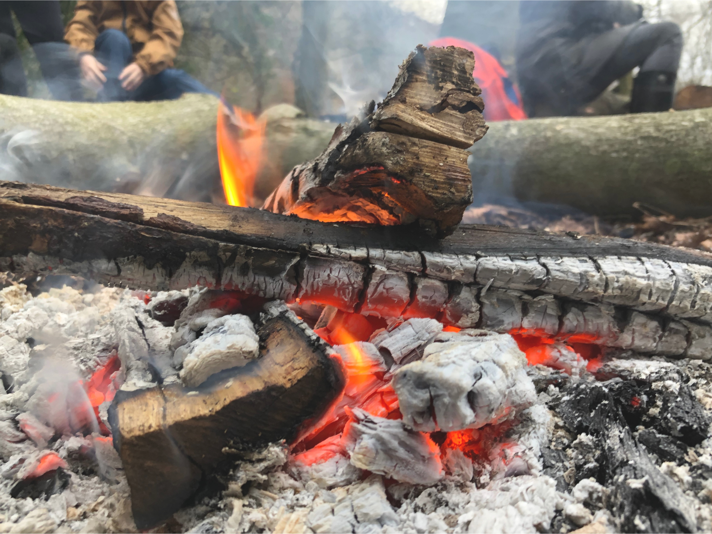 Copy of Winter Solstice 2022.png