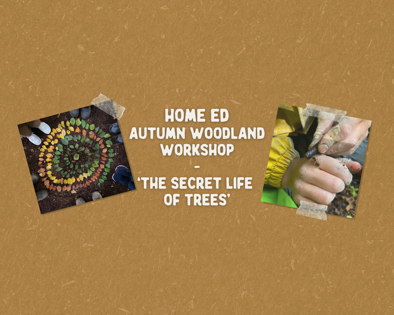 Green And Yellow Photo Collage Illustrative Summer Camp Event Instagram Story (1080 x 1350 px) (38).png