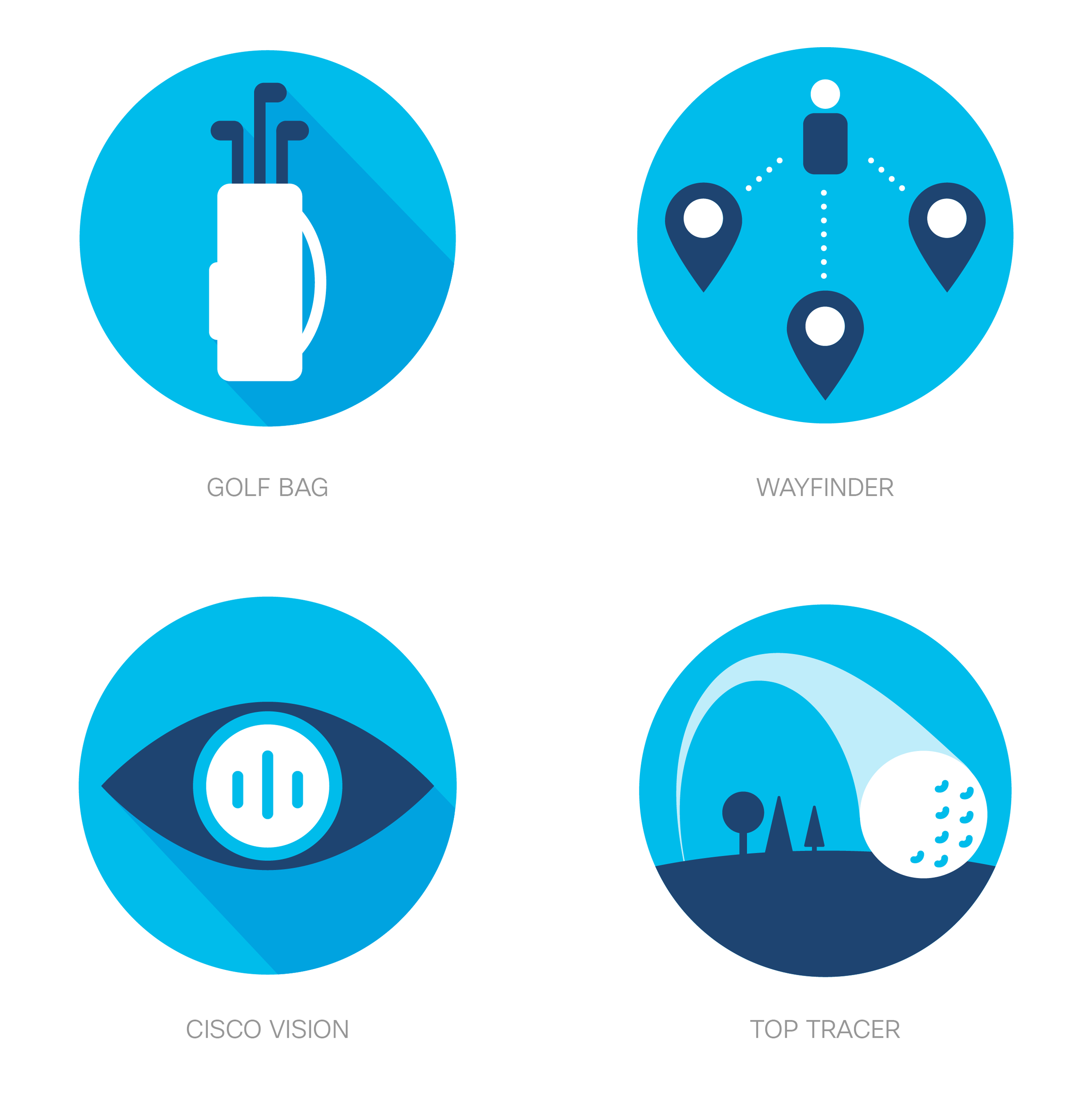 Custom iconography