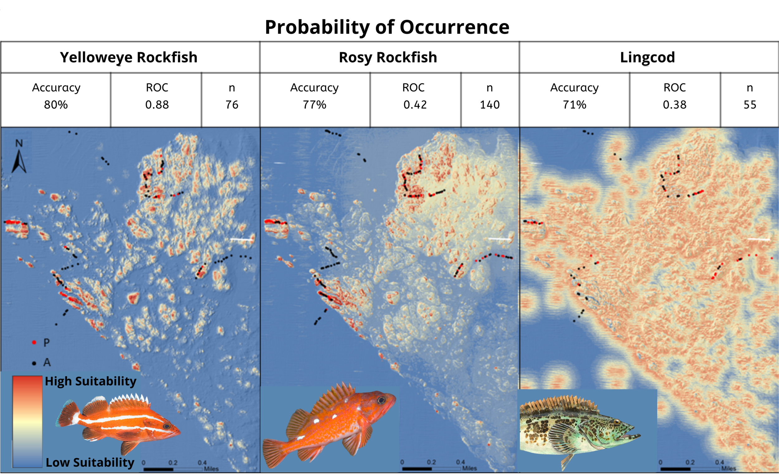 Projects — CEN CAL GIS