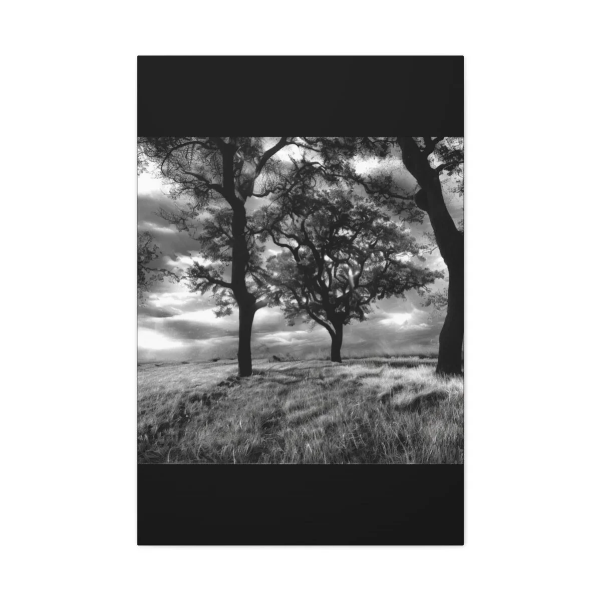 073e76be3cc4c2e410153dc4e002a120