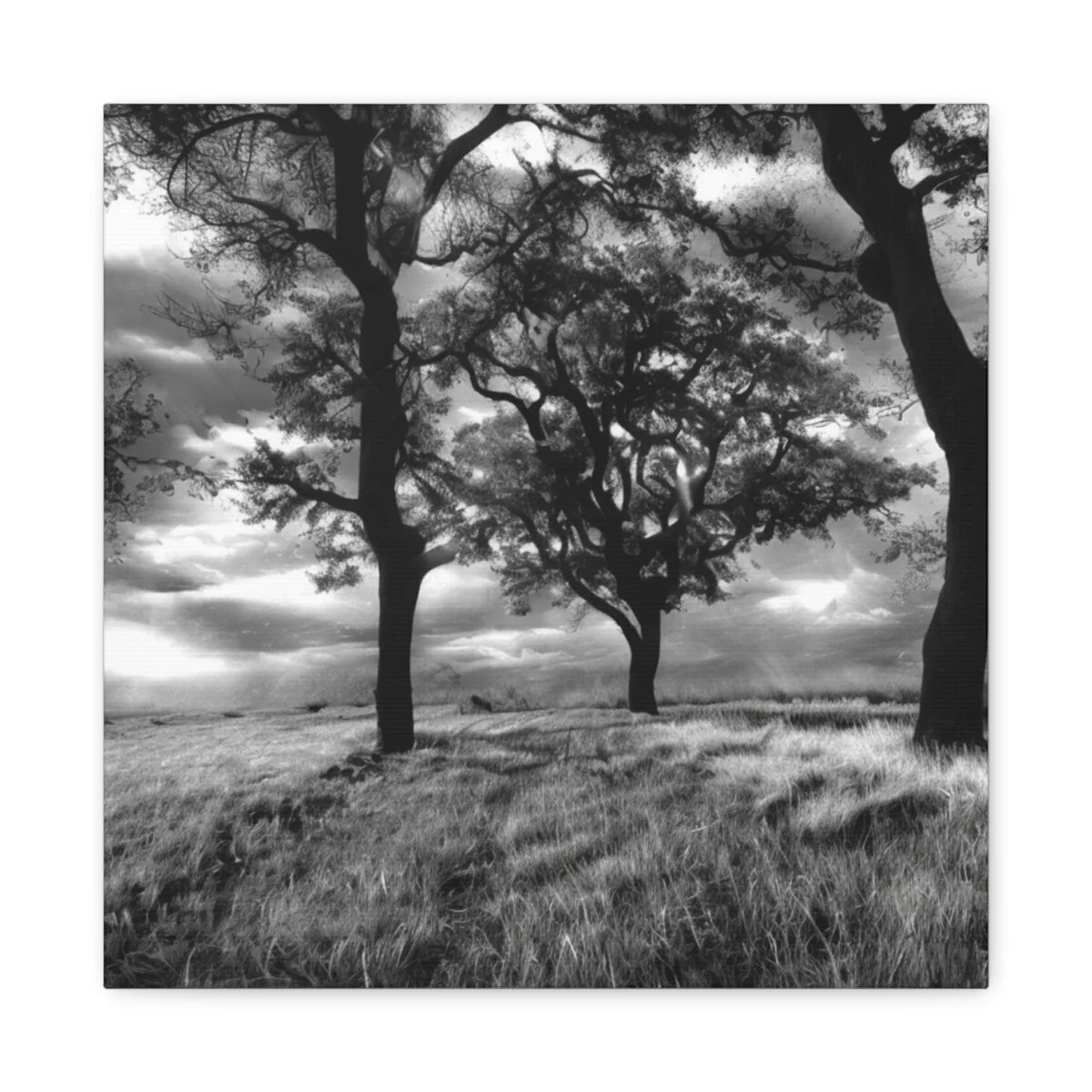 9bdc99e68e660cf23521dab7385d60b3