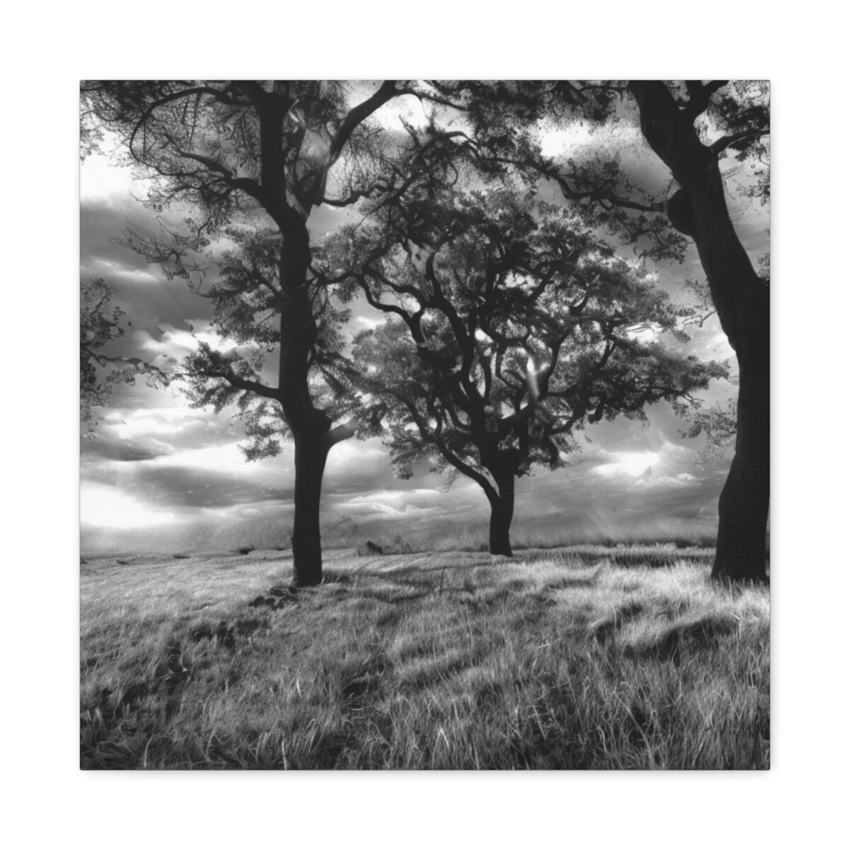 41744dfd678f7005ba30898548e35c19