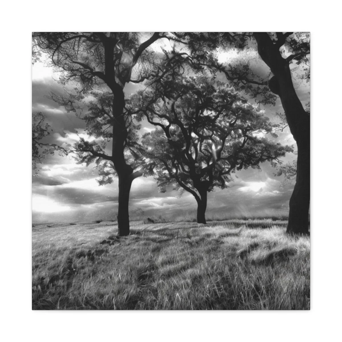 9873fc59e06df05a1b6d2ceba7bedb53