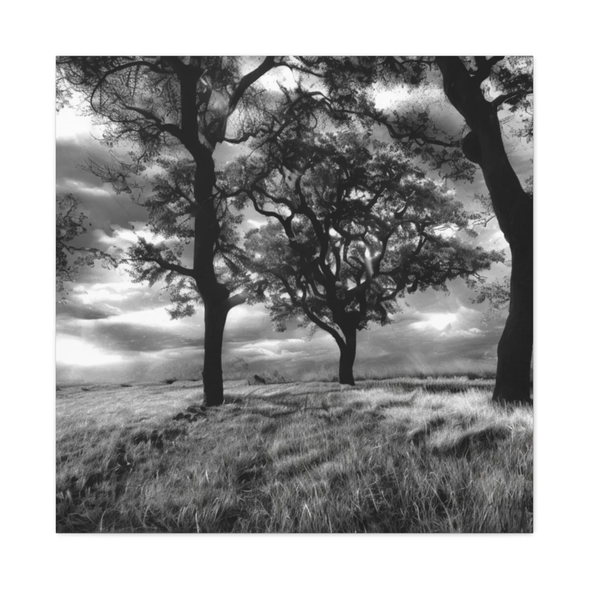 080fd0d49a3c5289d8d7d93817fff85e