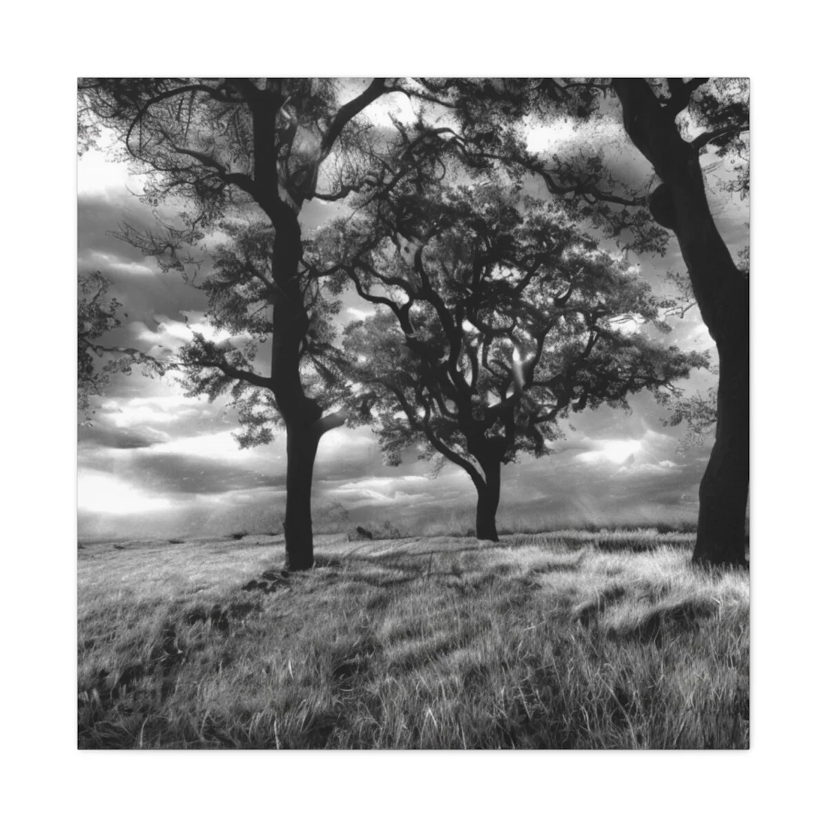 dce9c90e50be93ddaf95a4391d831073