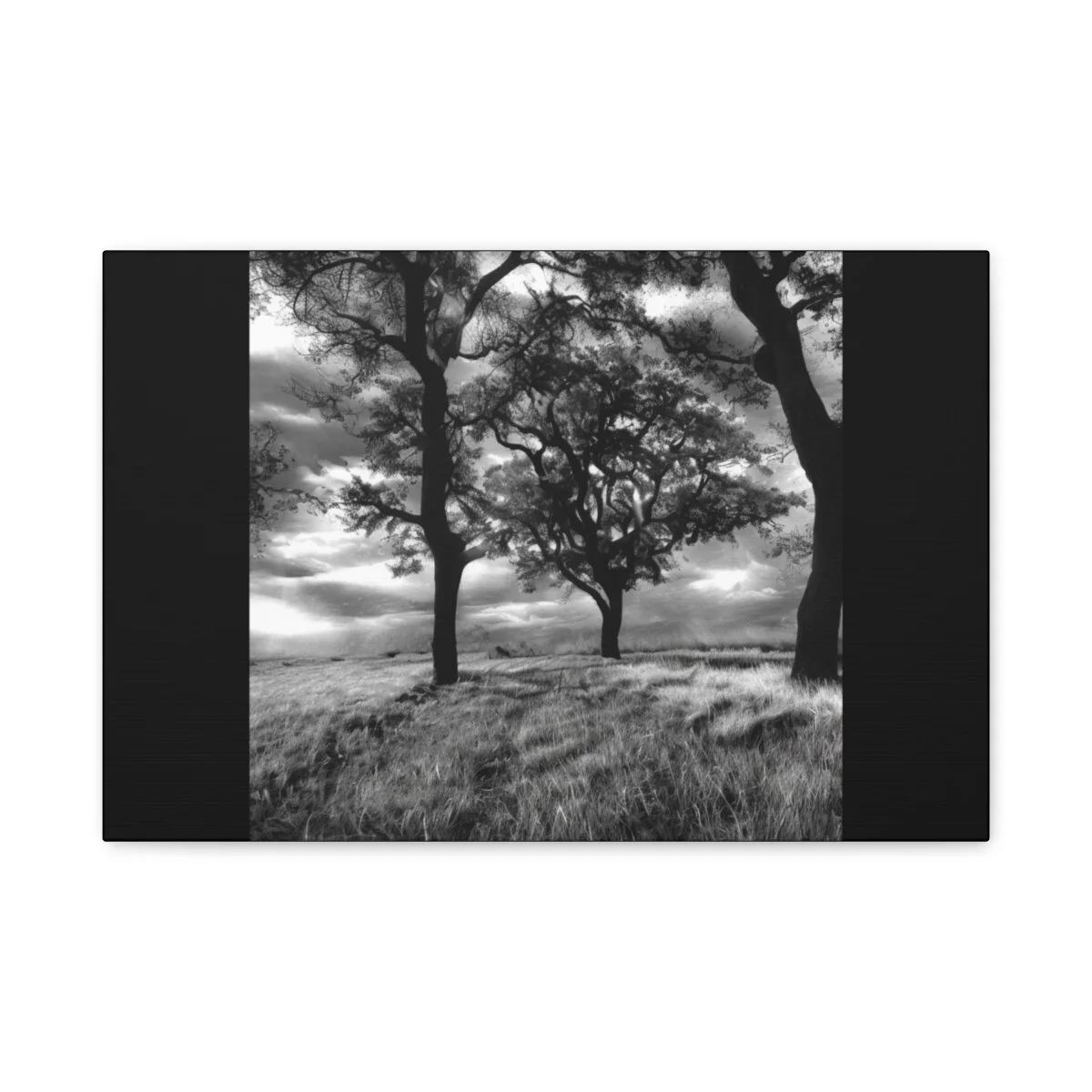 5276708851837f459ff70feb82403f63