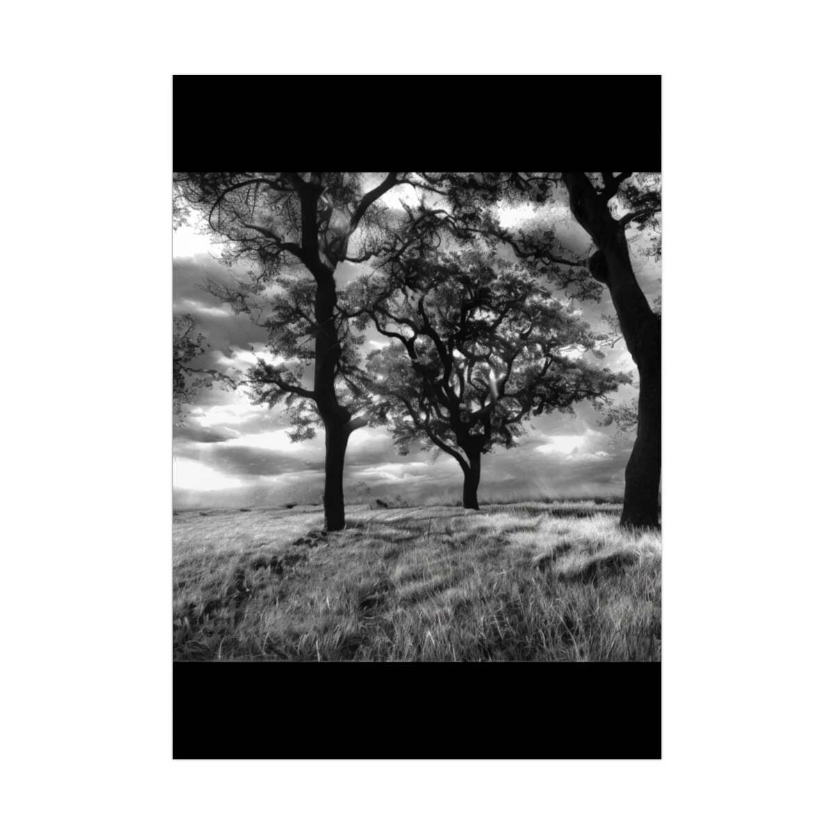 3bc057ffa3368970a4f890196cd94bd0