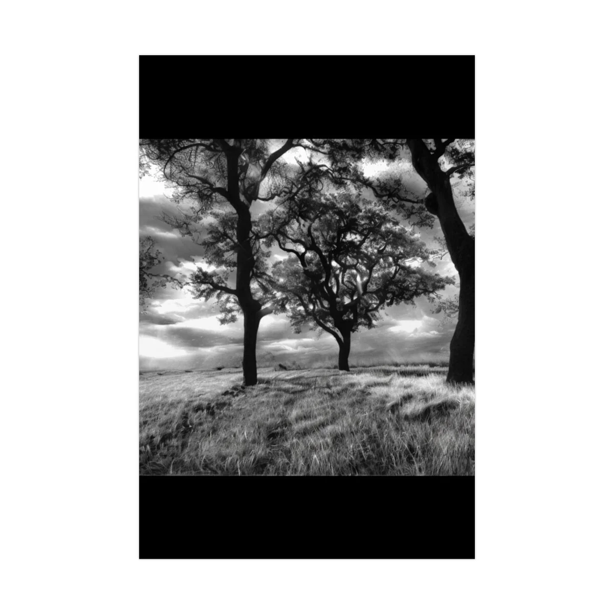 e729191ebccc5c28de6bb2f2fdc9f04e