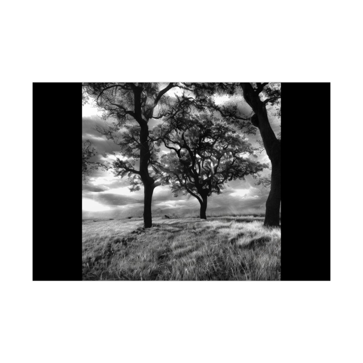 d39317aae775ecfec279218b26bbb77e