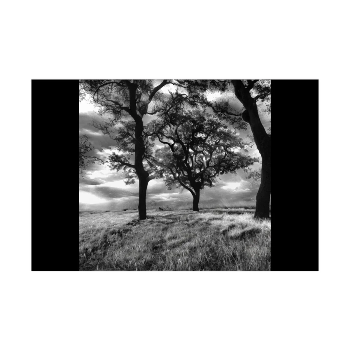 3223b680e20a3aa7a701c44a76700b44