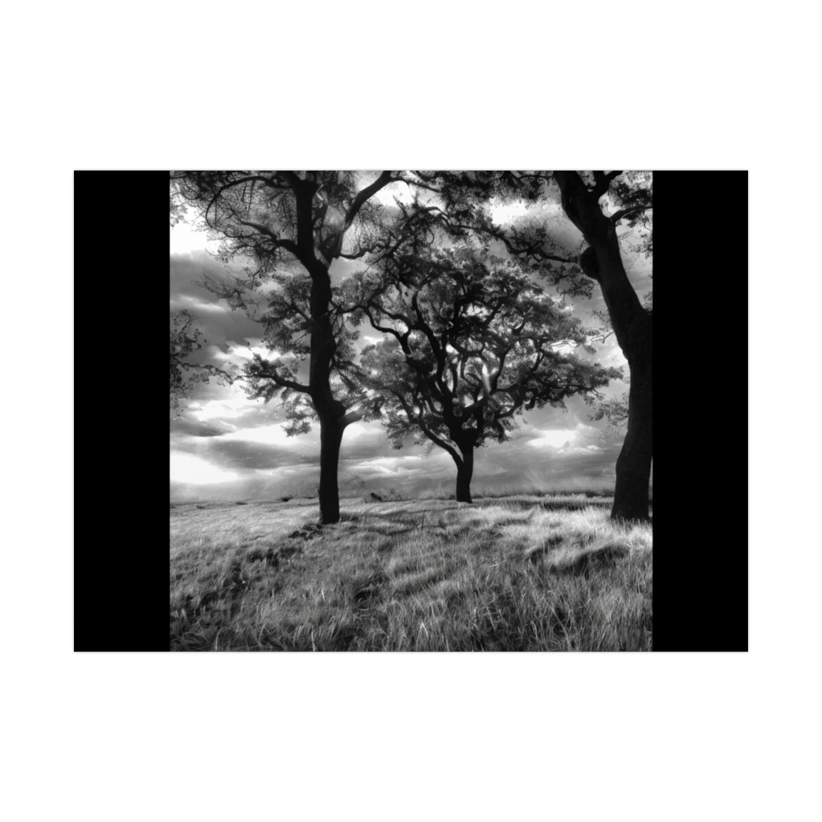 01e46e05ff55e81897c5c10df4e506c2