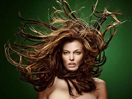 Salon A7