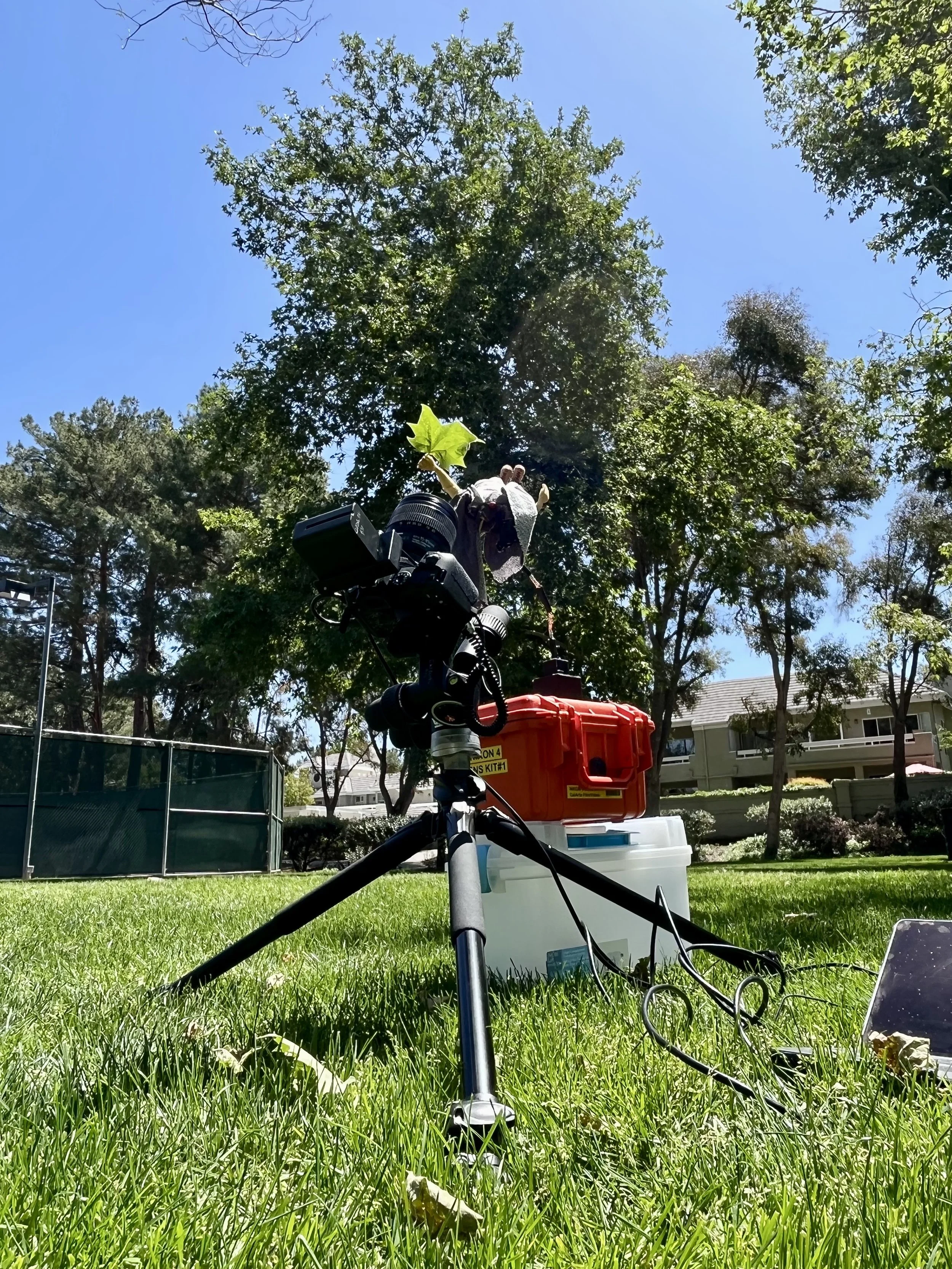 Behind the scene 3.jpeg