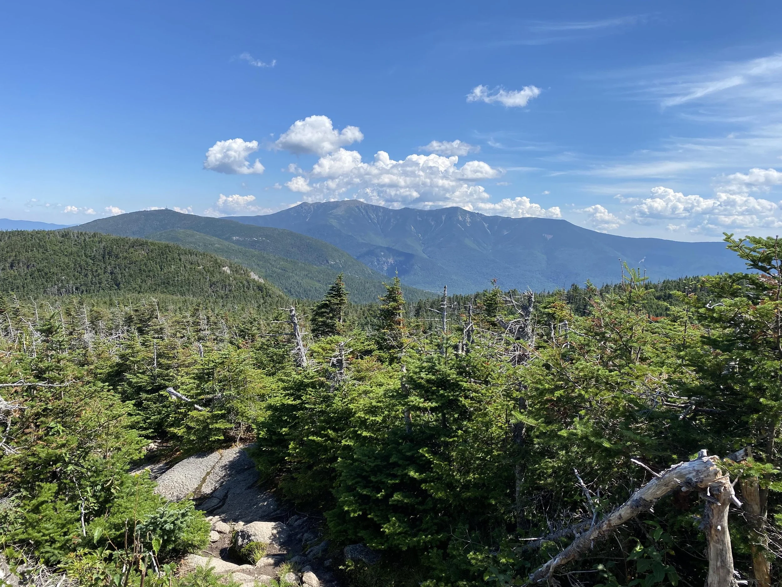 Franconia Ridge in the distance.