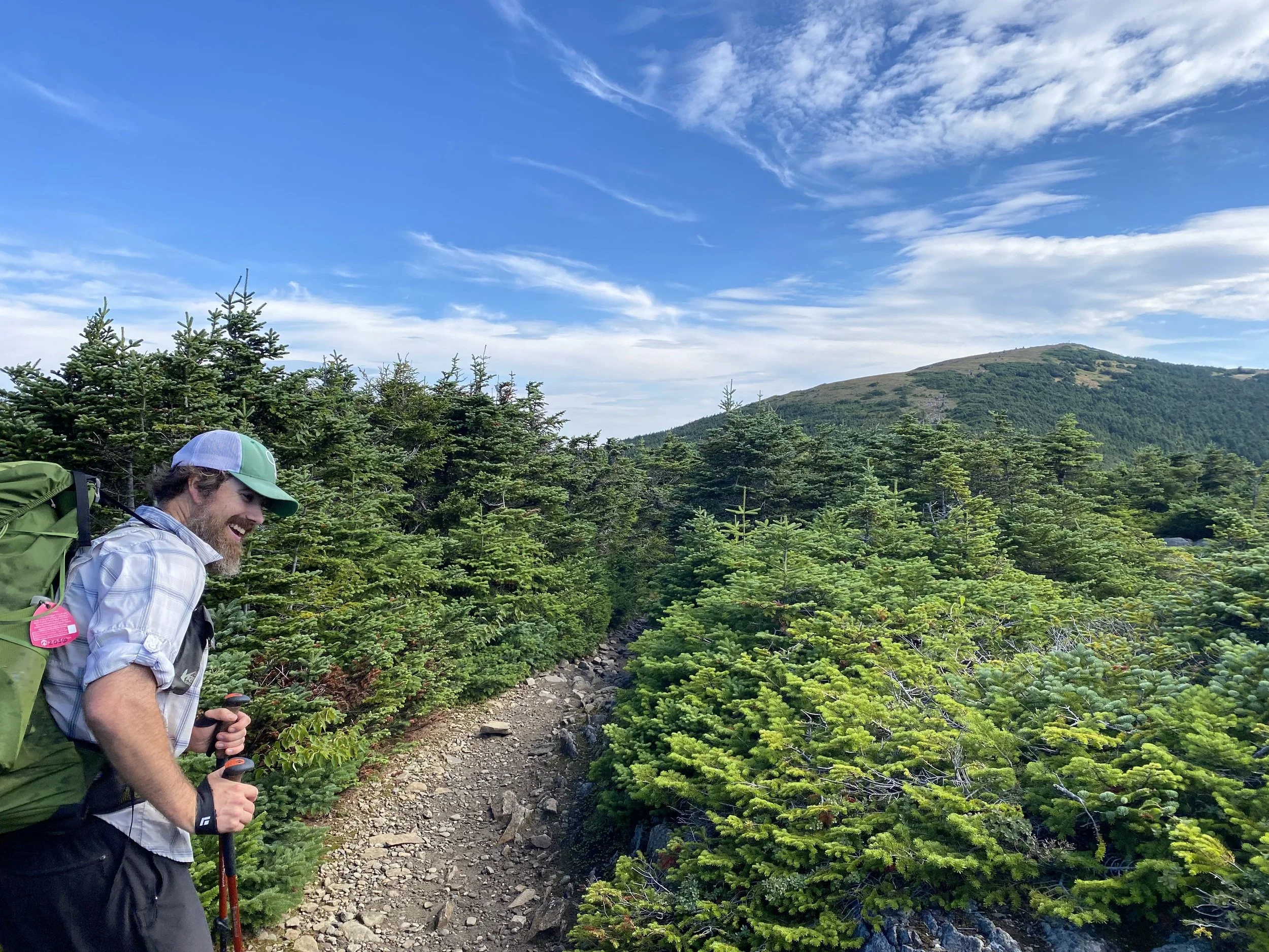 Chop Chop near the summit of Mt. Moosilauke in New Hampshire's White Mountains.