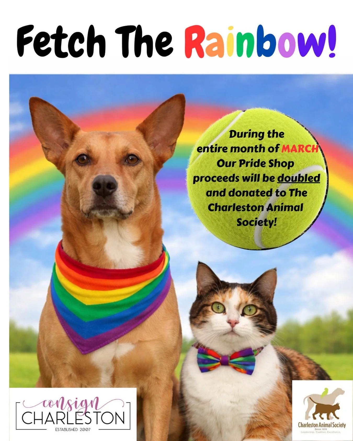 Purchasing items from our🏳️&zwj;🌈 Shop (inside the store) is a great way to contribute to our March fundraising event which will culminate in the chili cookout at #pawsinthepark2026 with @charlestonanimalsociety ! We will match your Pride shop purc