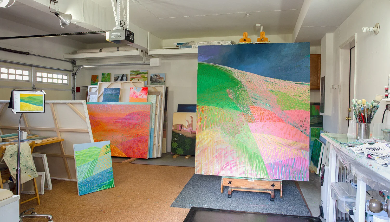 Studio, Marin County, California, February 2021