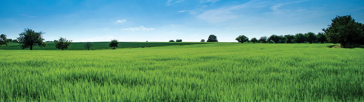 rh-image-background-copy-2.jpg