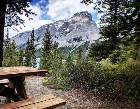 🌞 Encourage Fresh Air &ndash; Time outdoors boosts mood and provides gentle energy.
#HealingOutdoors #CompassionateLiving #ReliableCare