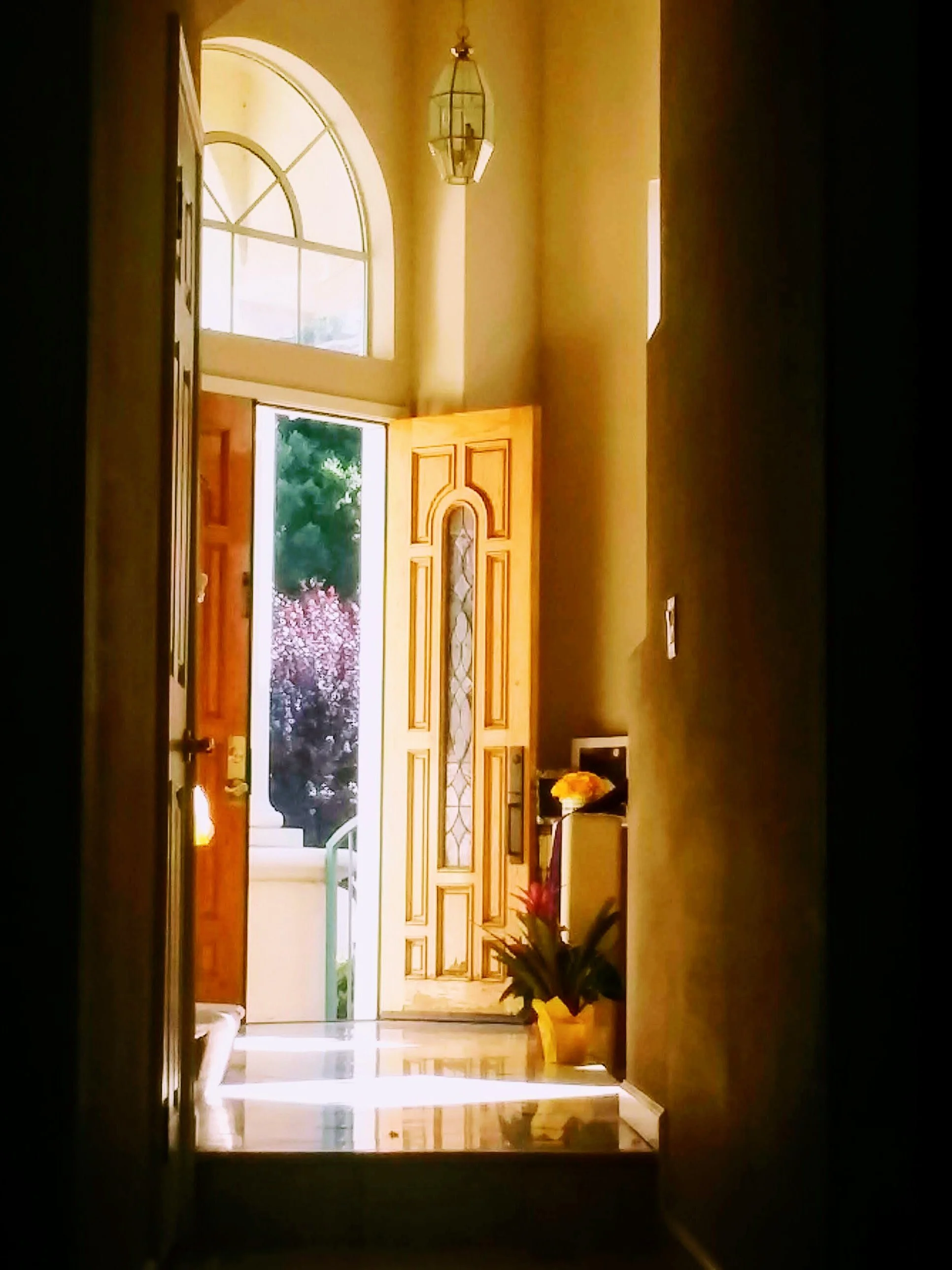 Linha Park ('25) - Open Door